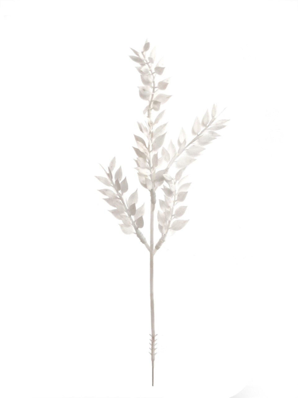 13" White Artificial Ruscus Spray - 24-Pack, Lifelike Greenery, Christmas Floral Decor - Perfect for Bouquets, Centerpieces - Year-Round Elegance - 2024 Christmas Collection, Floral Home by Artificial Flowers